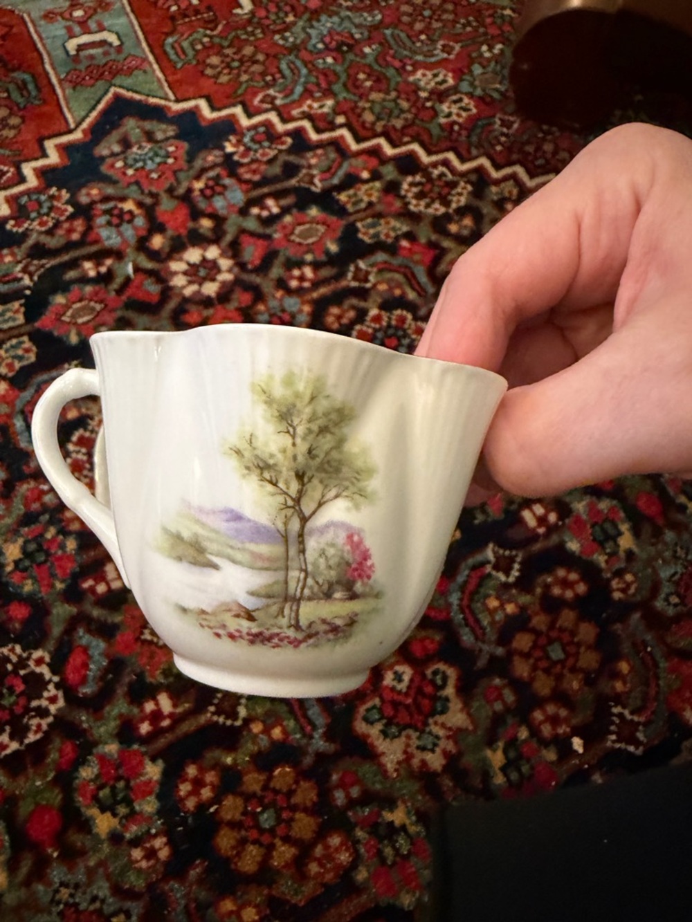 Rare Shelley England Fine Bone China cup and saucer - Picture 4 of 10